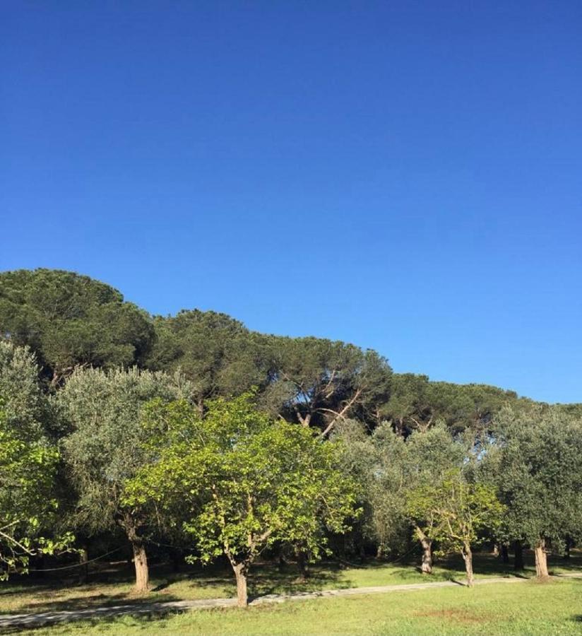 Villa Di Noi Arnesano Buitenkant foto