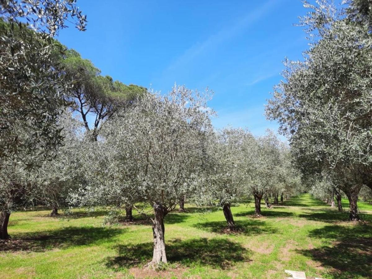 Villa Di Noi Arnesano Buitenkant foto